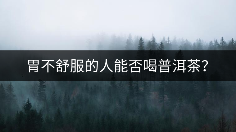 胃不舒服的人能否喝普洱茶？