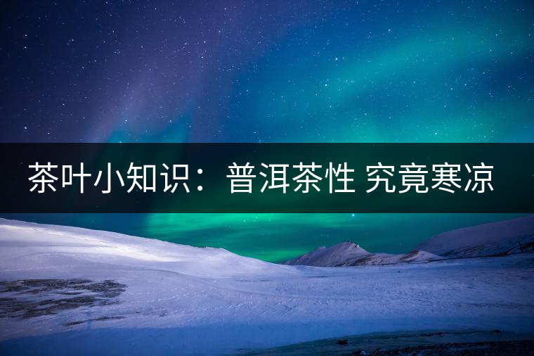 茶葉小知識：普洱茶性 究竟寒涼溫熱？