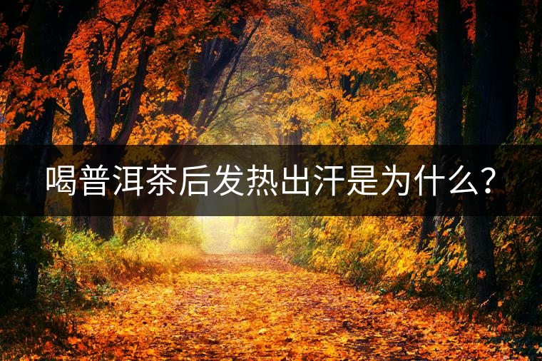 喝普洱茶后發(fā)熱出汗是為什么？