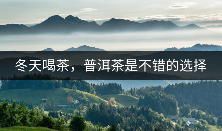 冬天喝茶，普洱茶是不錯(cuò)的選擇
