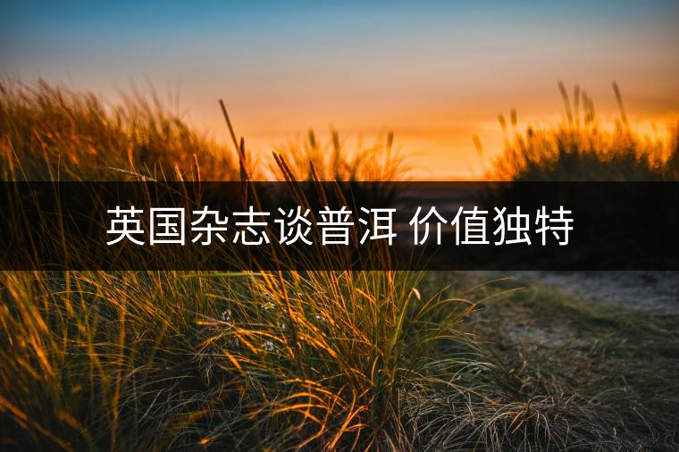 英國雜志談普洱 價值獨(dú)特 英國雜志談普洱 價值獨(dú)特