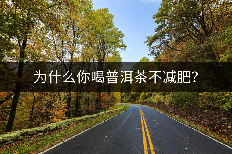 為什么你喝普洱茶不減肥？