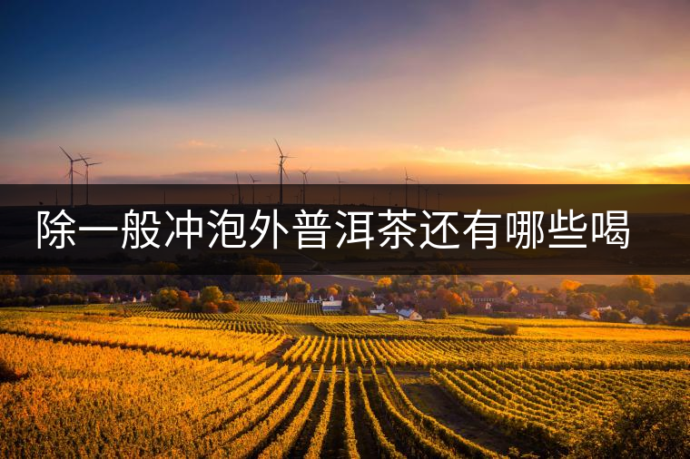 除一般沖泡外普洱茶還有哪些喝法？