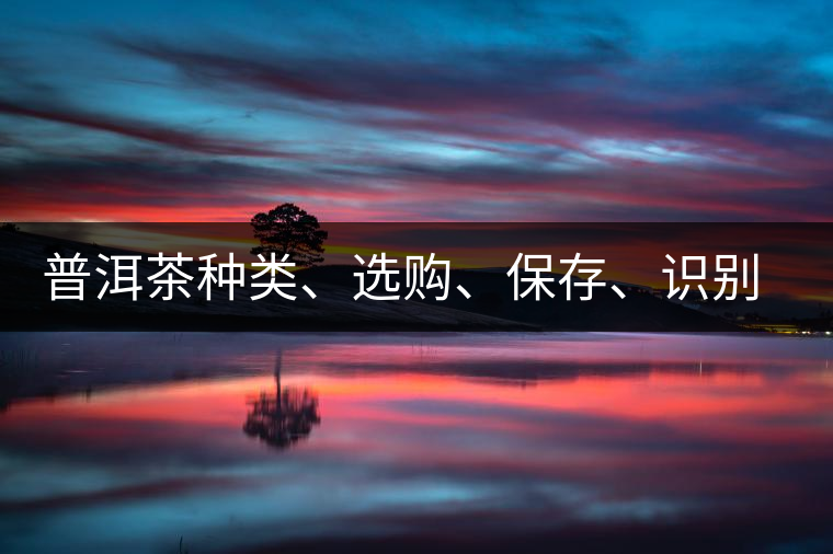 普洱茶種類、選購、保存、識別、沖泡