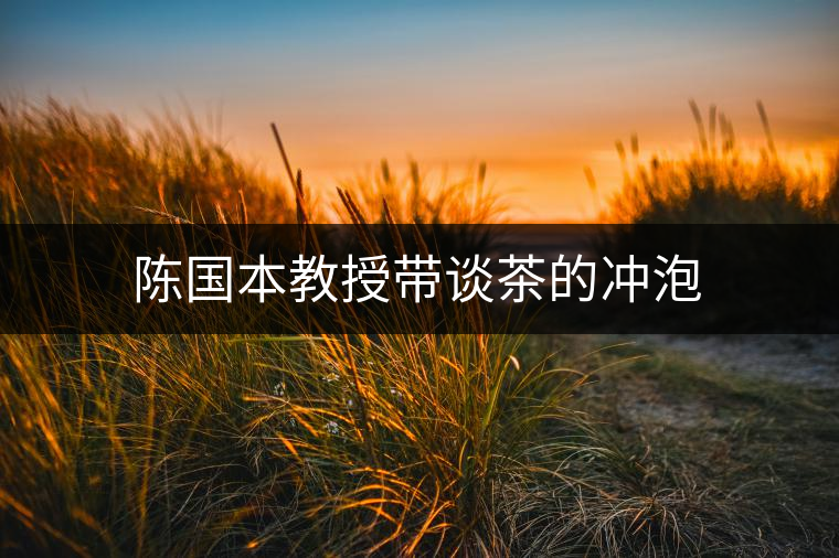 陳國(guó)本教授帶談茶的沖泡 陳國(guó)本教授帶談茶的沖泡
