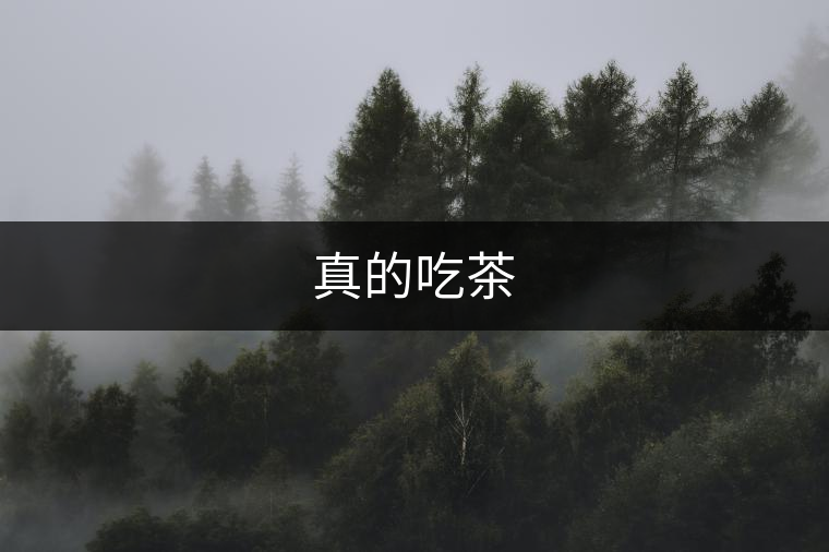 真的吃茶