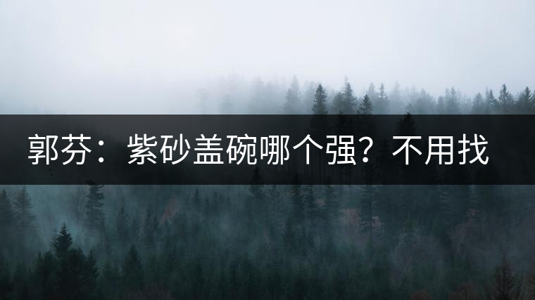 郭芬：紫砂蓋碗哪個強？不用找藍翔