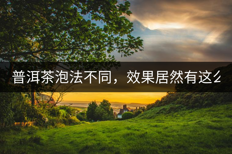 普洱茶泡法不同，效果居然有這么大區(qū)別！