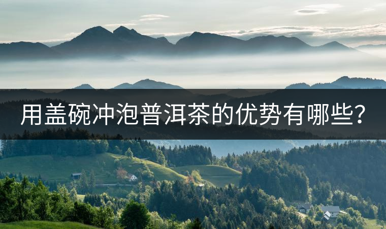 用蓋碗沖泡普洱茶的優(yōu)勢(shì)有哪些？