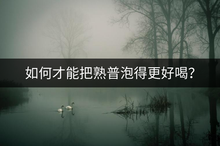 如何才能把熟普泡得更好喝？