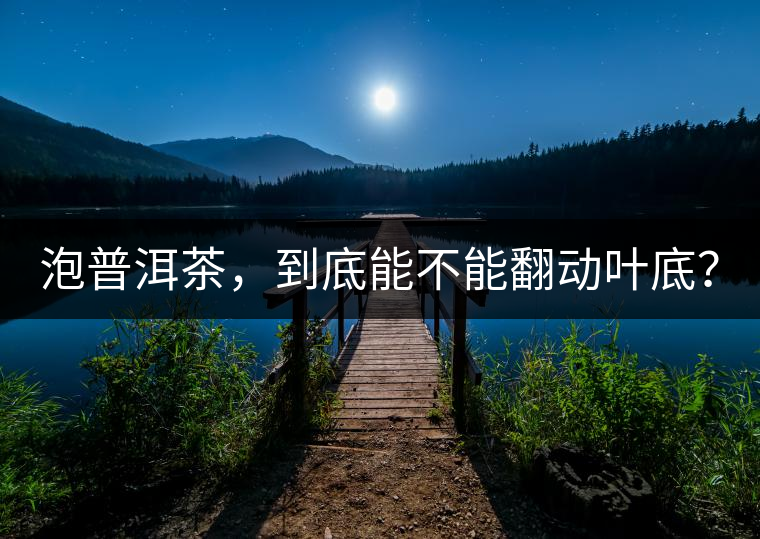 泡普洱茶，到底能不能翻動(dòng)葉底？