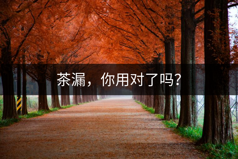 茶漏，你用對(duì)了嗎？