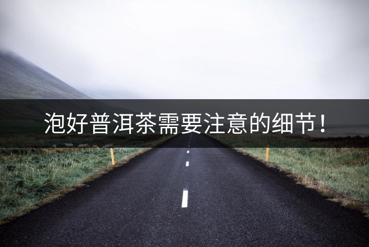 泡好普洱茶需要注意的細(xì)節(jié)！