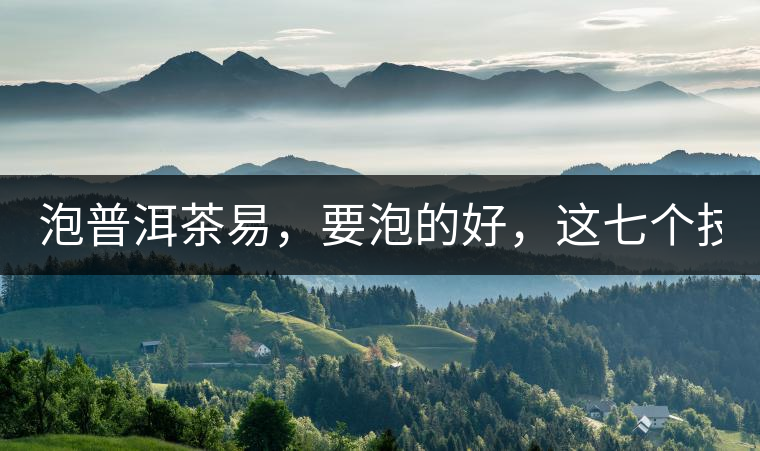 泡普洱茶易，要泡的好，這七個技巧很重要！