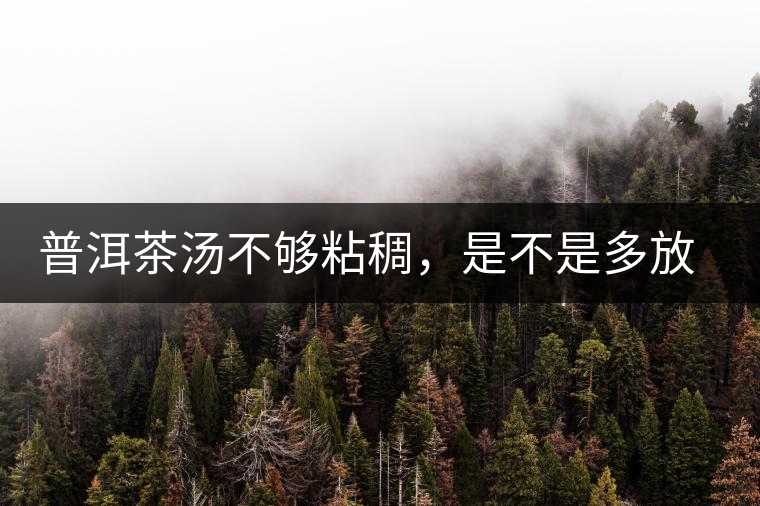 普洱茶湯不夠粘稠，是不是多放些茶葉就好了嗎？