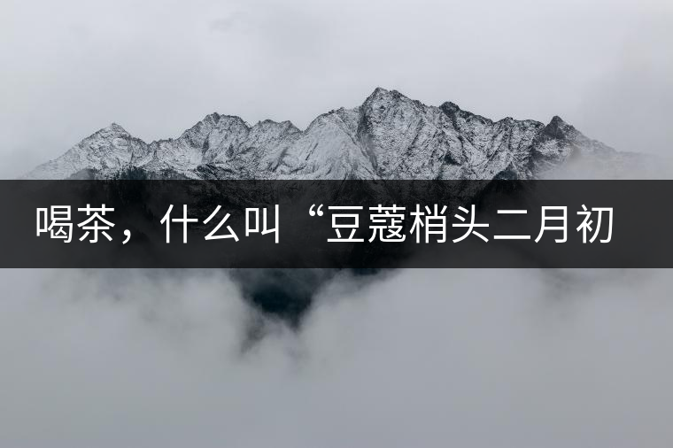 喝茶，什么叫“豆蔻梢頭二月初”？