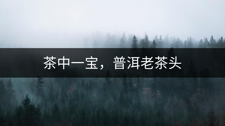 茶中一寶,普洱老茶頭 茶中一寶,普洱老茶頭