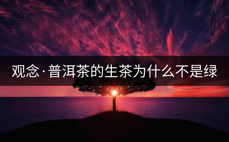 觀念·普洱茶的生茶為什么不是綠茶？