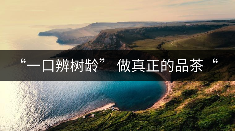 “一口辨樹齡” 做真正的品茶“大師”！