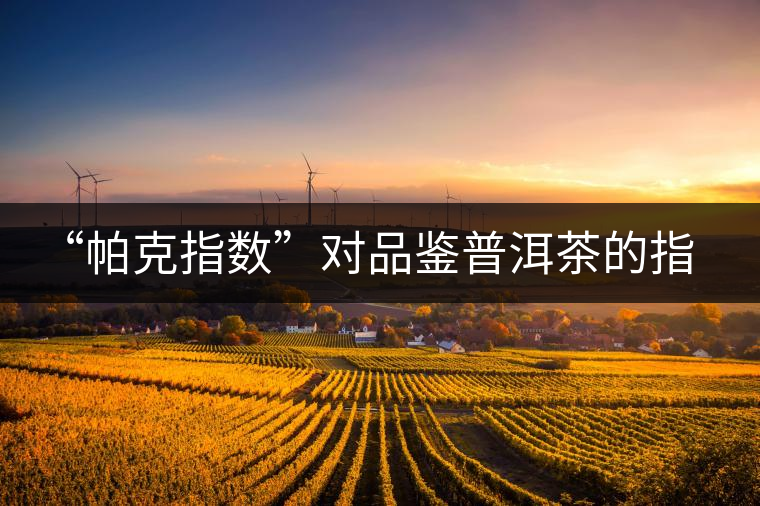 “帕克指數(shù)”對品鑒普洱茶的指導(dǎo)意義在哪里？「跨界有道」