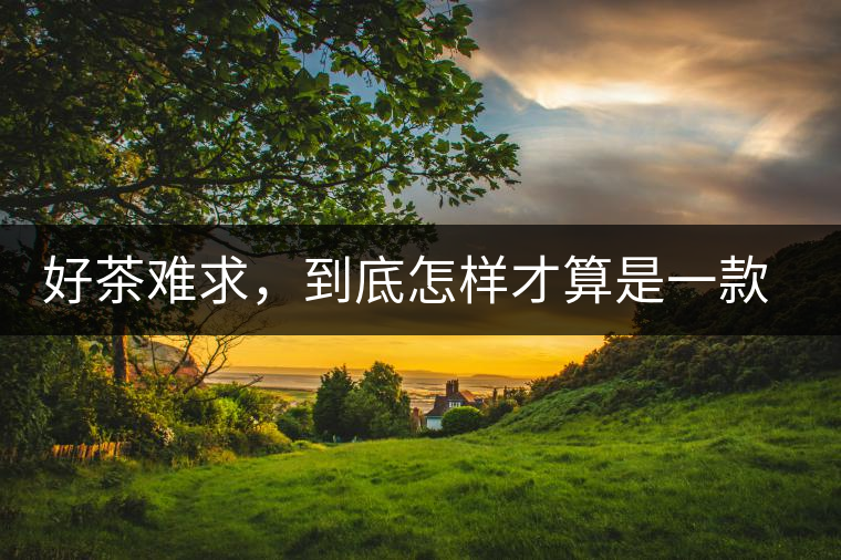 好茶難求，到底怎樣才算是一款好普洱茶？