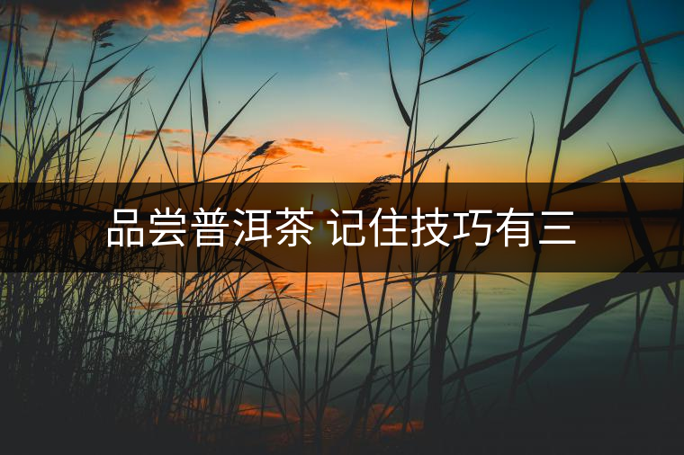 品嘗普洱茶 記住技巧有三