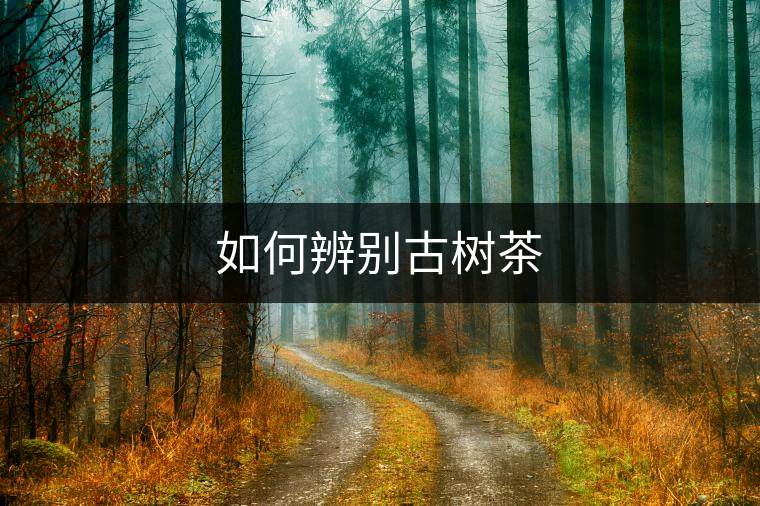 如何辨別古樹(shù)茶 如何辨別古樹(shù)茶