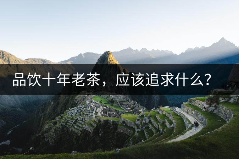 品飲十年老茶，應(yīng)該追求什么？滋味還是故事？