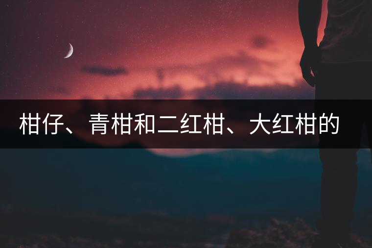 柑仔、青柑和二紅柑、大紅柑的區(qū)別，你可知道？