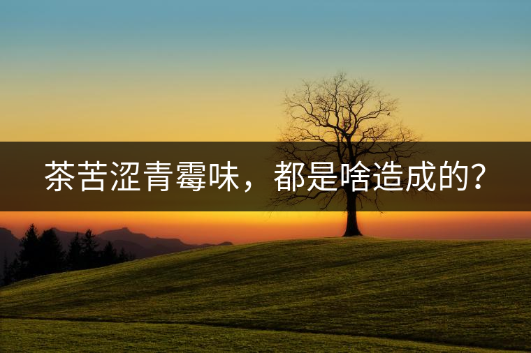 茶苦澀青霉味，都是啥造成的？