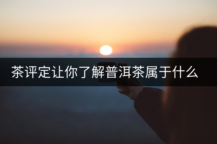 茶評(píng)定讓你了解普洱茶屬于什么茶系？