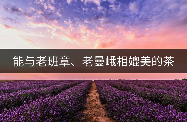 能與老班章、老曼峨相媲美的茶