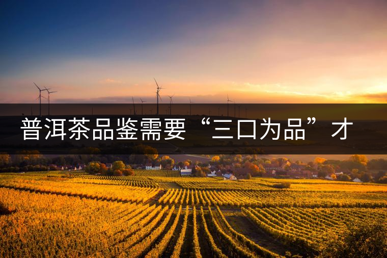 普洱茶品鑒需要“三口為品”才真實(shí)，那從哪里入手品鑒呢？