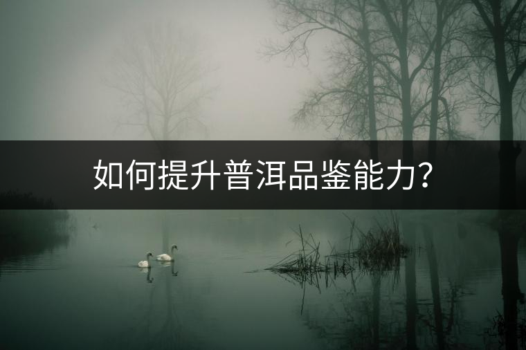 如何提升普洱品鑒能力？