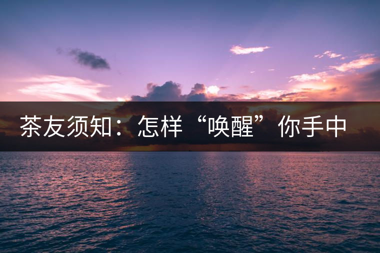 茶友須知：怎樣“喚醒”你手中的那一餅普洱茶？