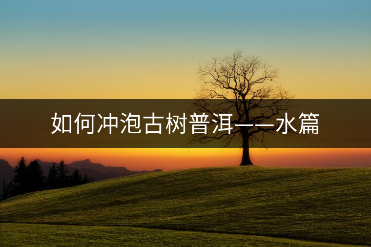 如何沖泡古樹(shù)普洱——水篇 如何沖泡古樹(shù)普洱——水篇