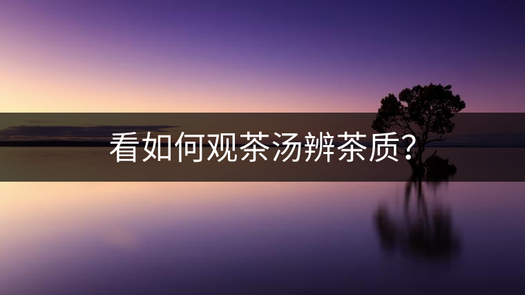 看如何觀茶湯辨茶質(zhì)？