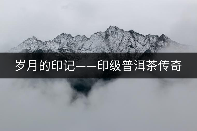歲月的印記——印級(jí)普洱茶傳奇 歲月的印記——印級(jí)普洱茶傳奇