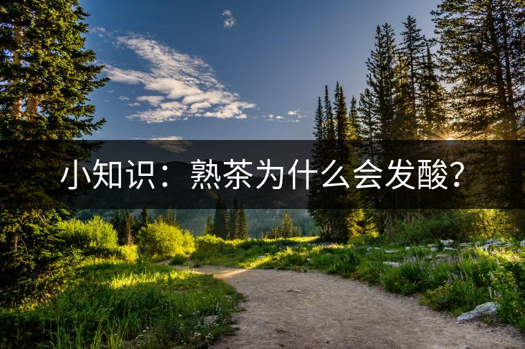 小知識(shí)：熟茶為什么會(huì)發(fā)酸？