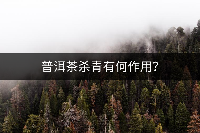 普洱茶殺青有何作用？