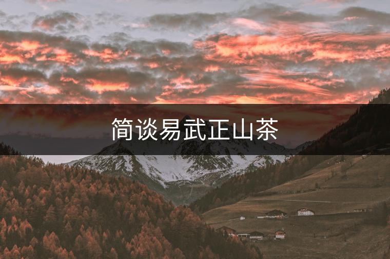 簡談易武正山茶