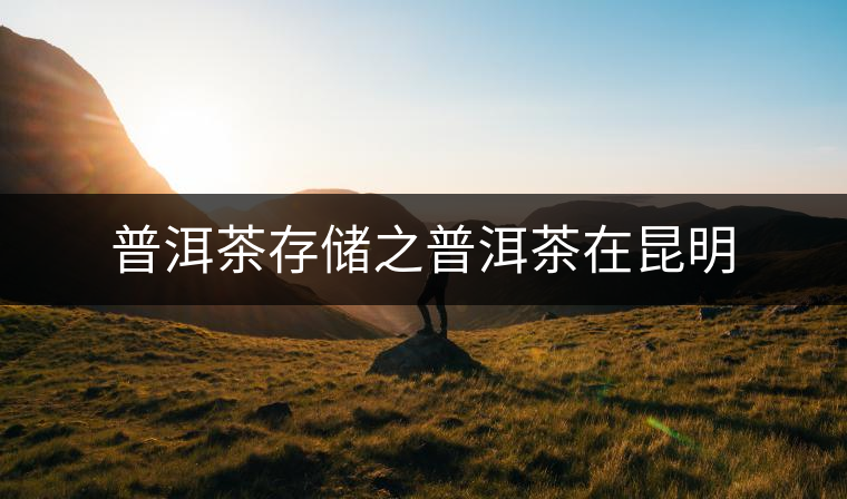 普洱茶存儲(chǔ)之普洱茶在昆明 普洱茶存儲(chǔ)之普洱茶在昆明