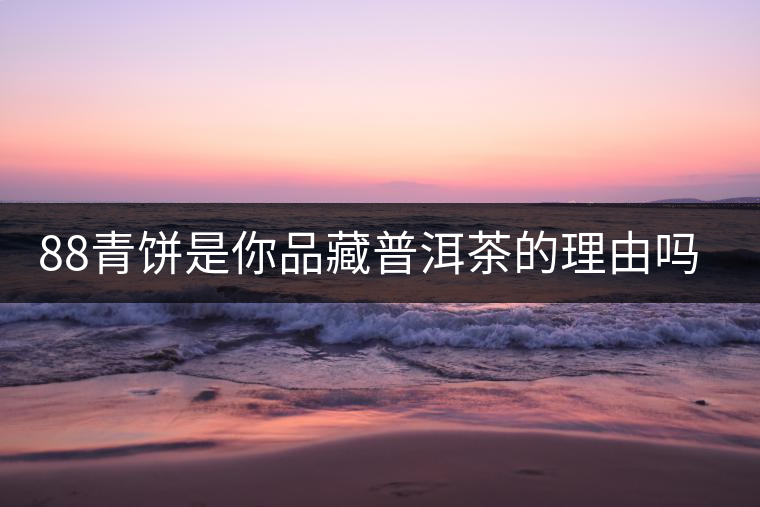 88青餅是你品藏普洱茶的理由嗎？
