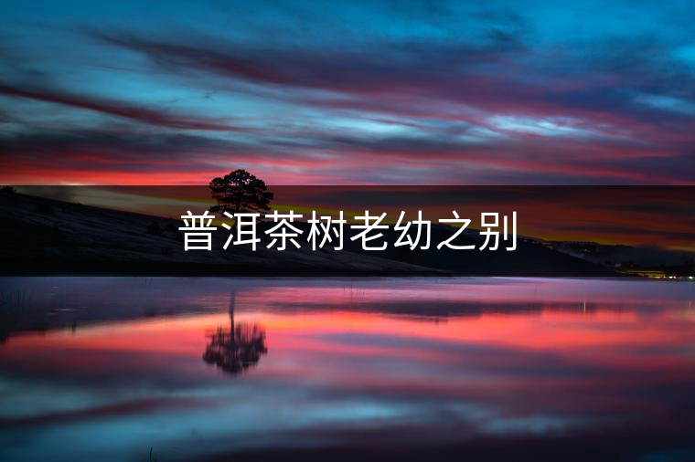 普洱茶樹老幼之別 普洱茶樹老幼之別