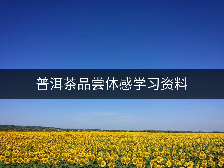 普洱茶品嘗體感學(xué)習(xí)資料 普洱茶品嘗體感學(xué)習(xí)資料