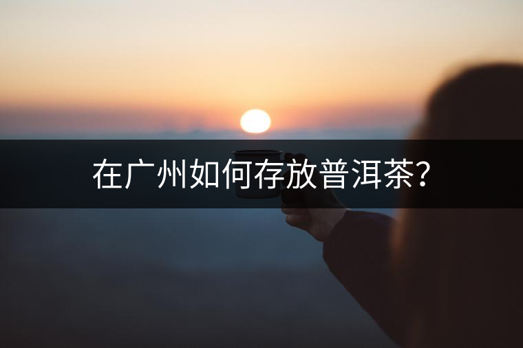 在廣州如何存放普洱茶？