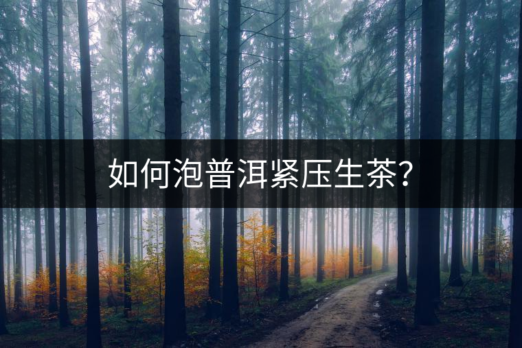 如何泡普洱緊壓生茶？