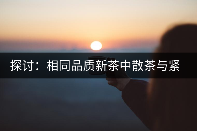 探討：相同品質(zhì)新茶中散茶與緊壓茶哪個好？