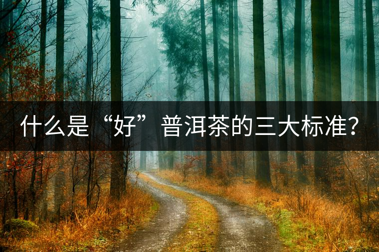 什么是“好”普洱茶的三大標(biāo)準(zhǔn)？