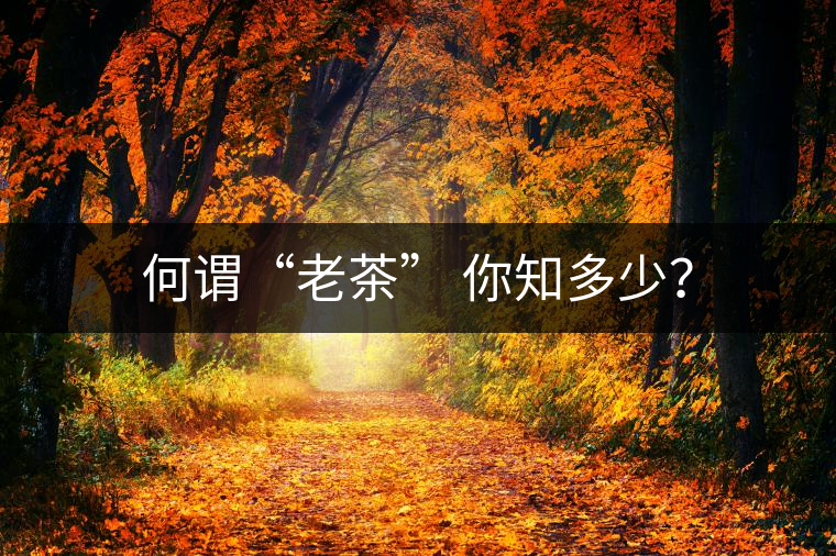 何謂“老茶” 你知多少？